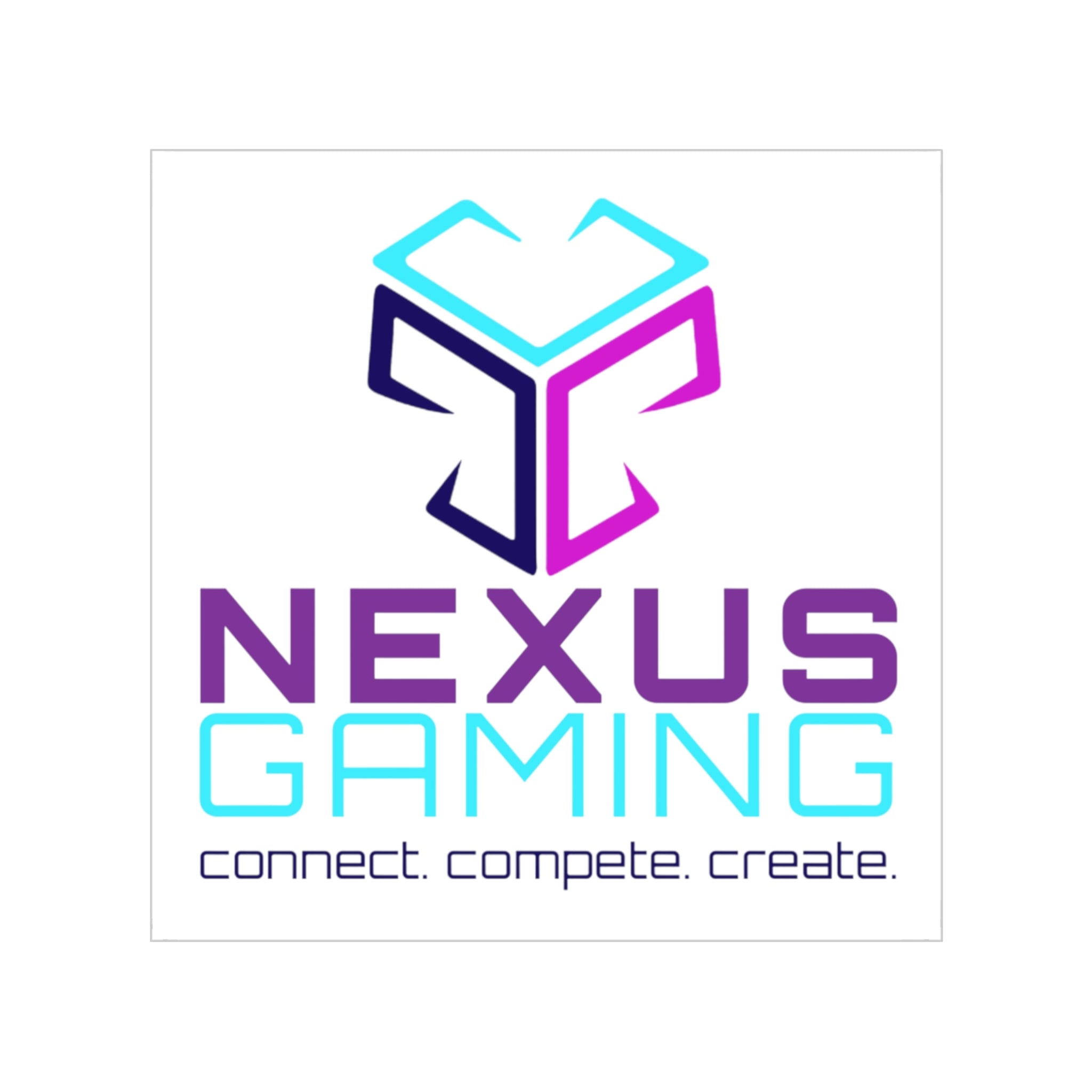 Nexus Gaming Transparent Indoor/Outdoor Sticker