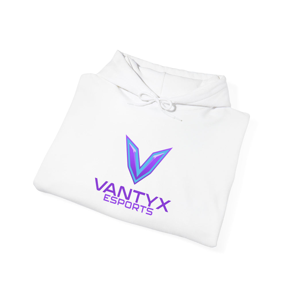 Vantyx "It Begins Here" with Personalize Gamertag Sleeve