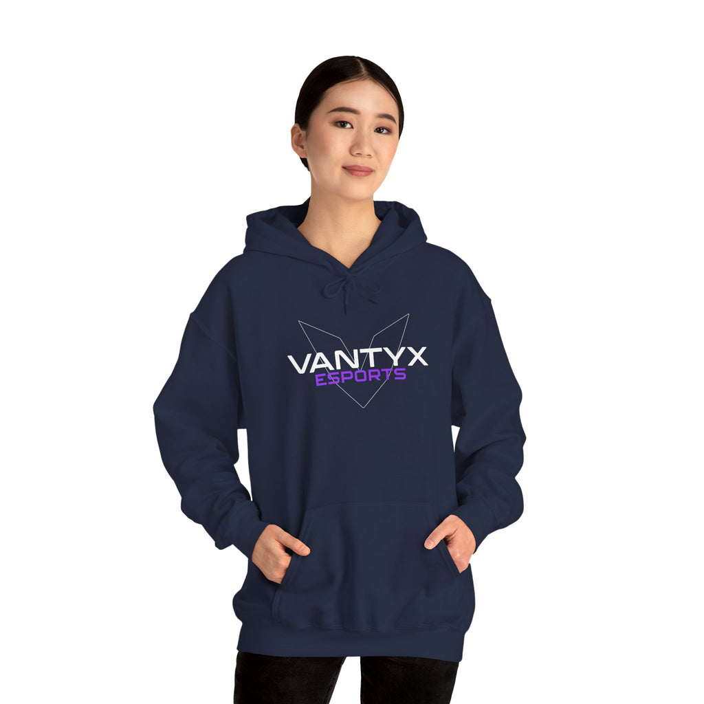 Vantyx Blackout Logo Hoodie